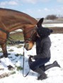 /album/lovasterapiaszeged/a20130317-111357-jpg/